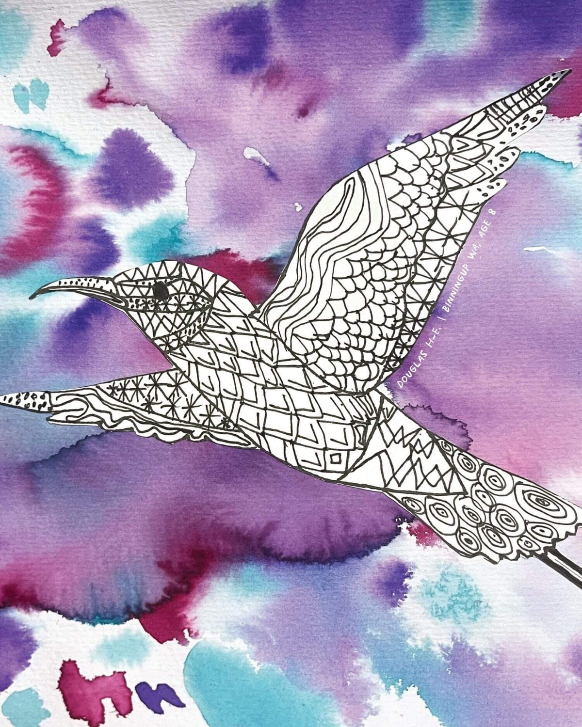 Watercolour and ink bird illustration by Douglas H-E., age 8, Binningup WA.