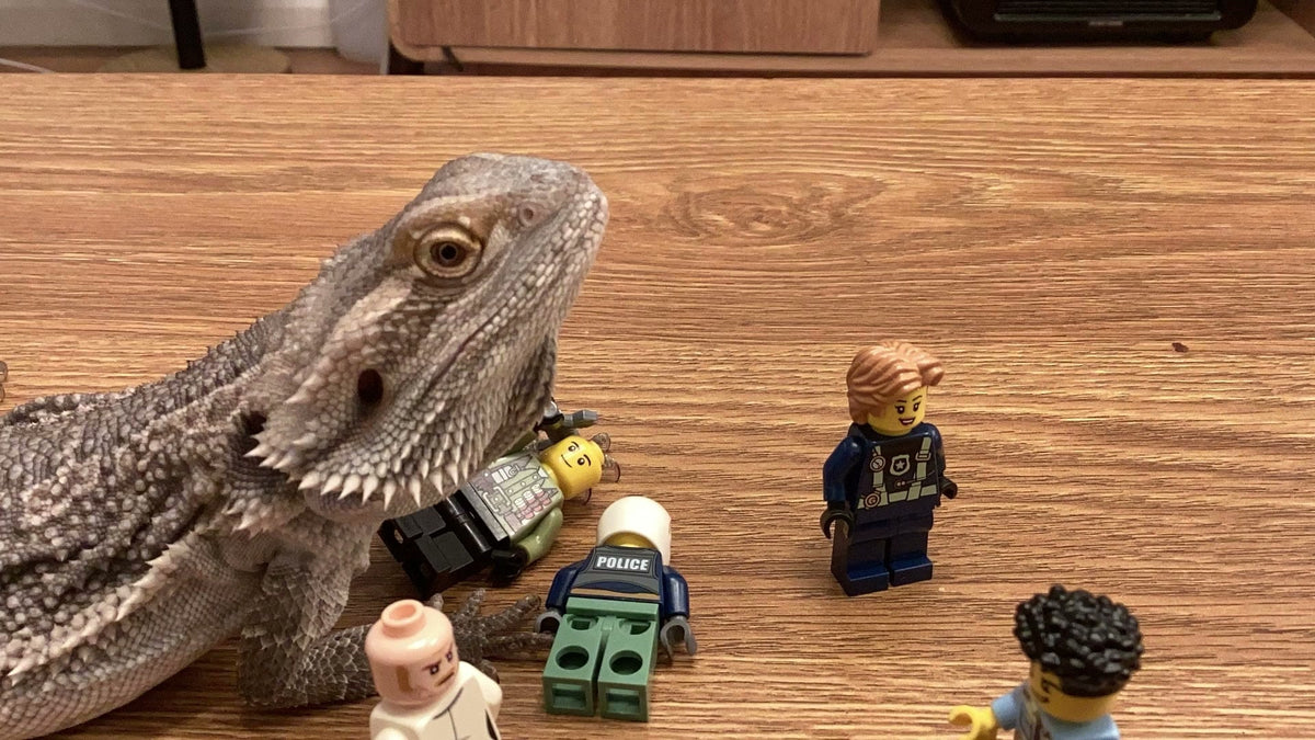 A frame from My Stop Motion Movie by Daniel G., age 8, Australia NSW