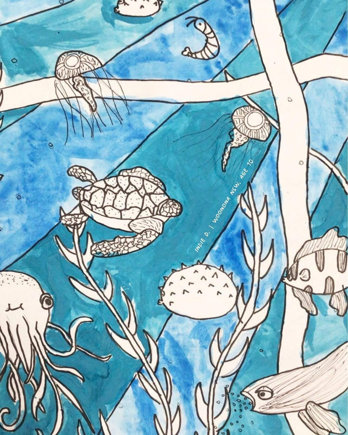 Watercolour and ink illustration of a sea turtle, jellyfish and other ocean life.
