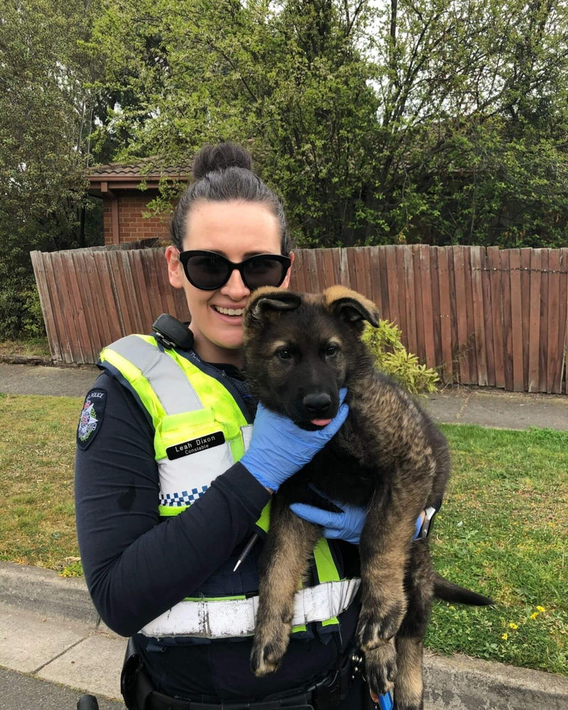 The Detective Who Keeps Kids Safe.
