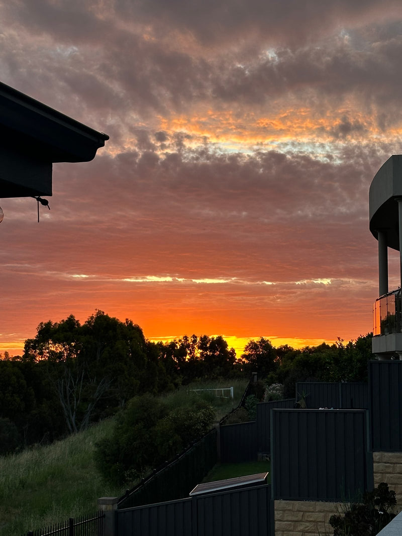 A vivid sunset with a blazing orange and yellow horizon beneath dramatic pink and grey clouds. Silhouettes of trees and suburban buildings frame the colourful sky.