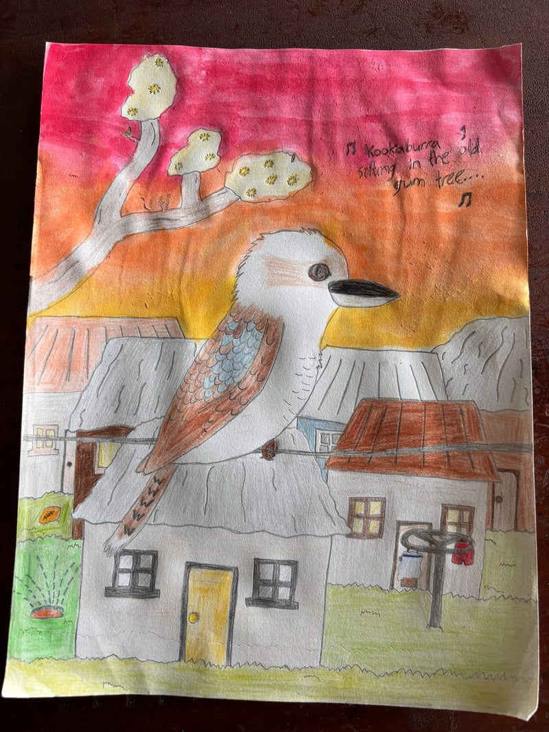 A colourful pencil and watercolour drawing of a large kookaburra with blue and brown wings perched on the roof of a house, set against a vivid orange and pink sunset sky. A gum tree with white blossoms frames the scene, and musical notes accompany the handwritten lyrics 'Kookaburra sitting in the old gum tree' in the upper right corner.