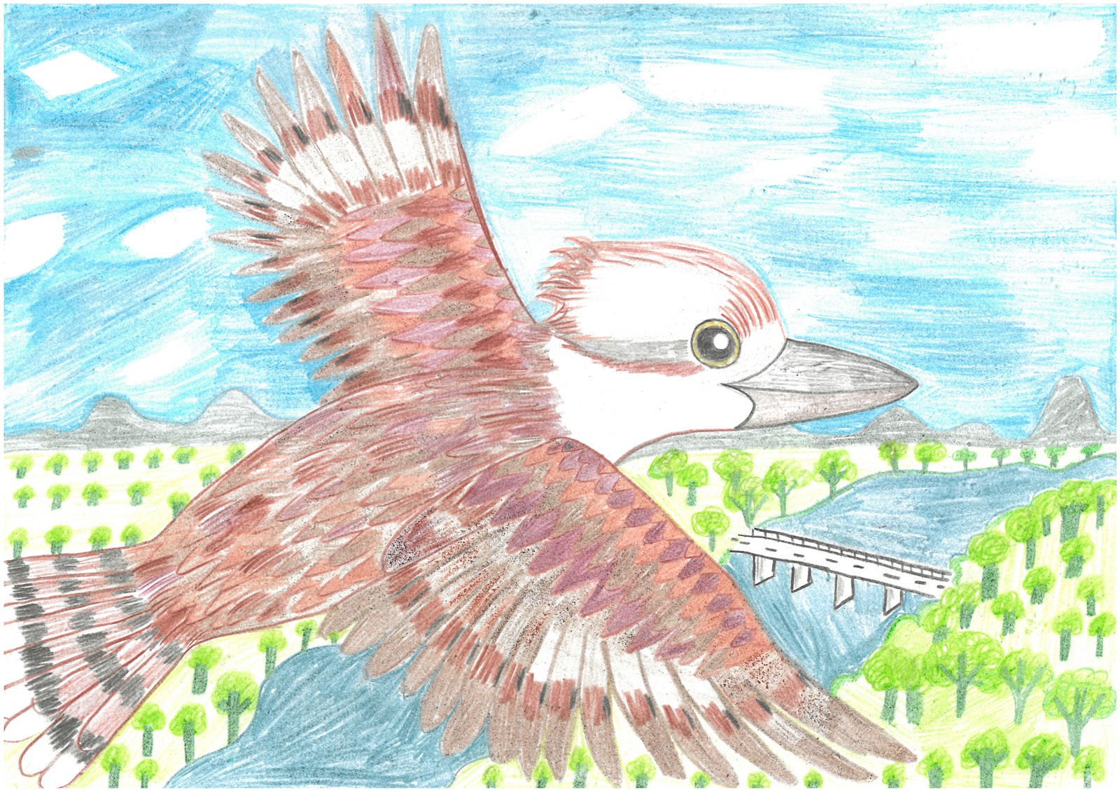Celebrate Australia Primary School Art Competition