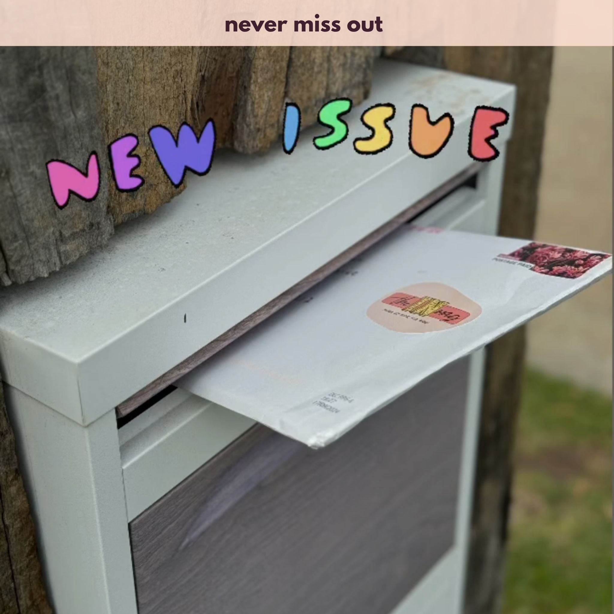 Letterbox excitement.